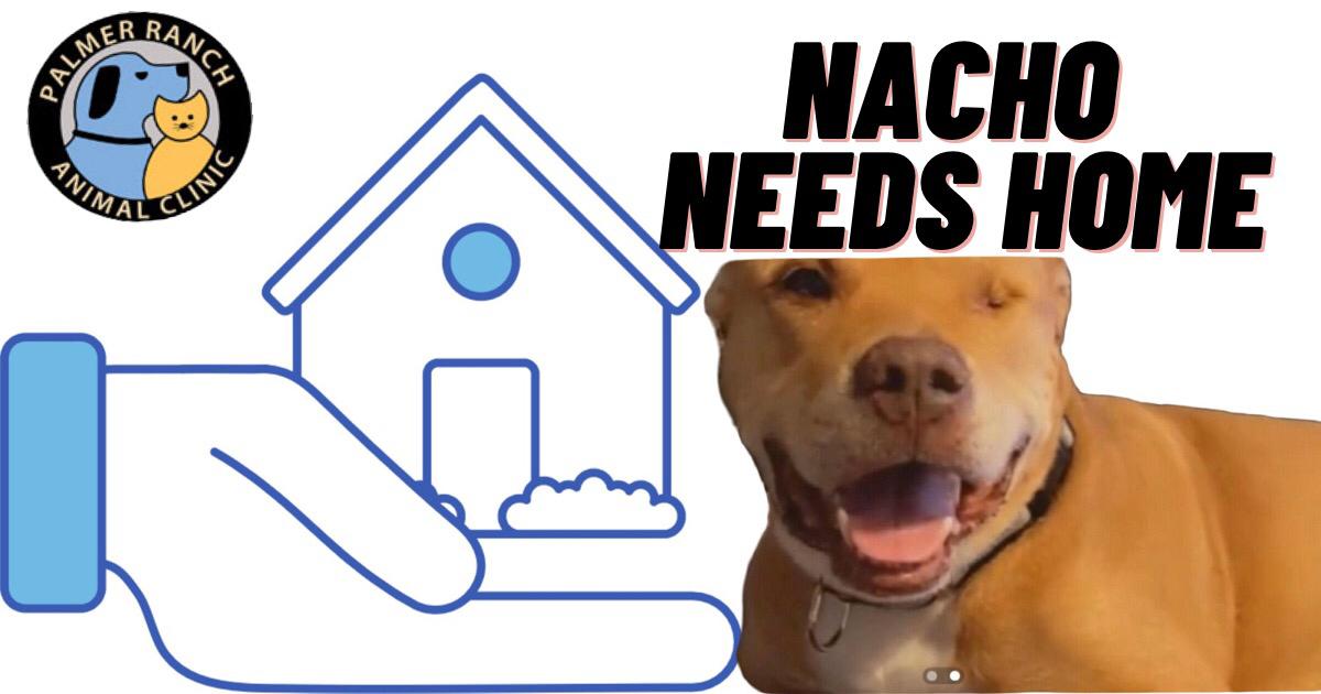 WhatsApp Image 2021 03 25 at 113848 PM