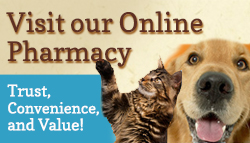 Visit-Pharmacy-Banner-Natural